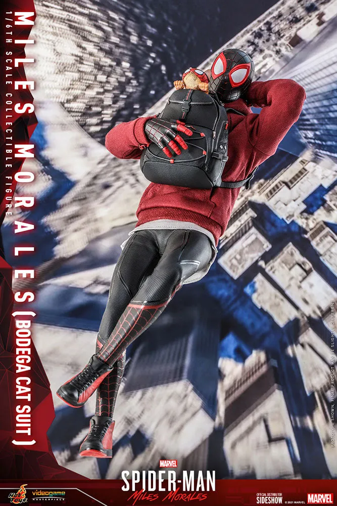 Hot Toys Miles Morales Spider-Man Bodega Cat Suit 1/6 Scale Figure